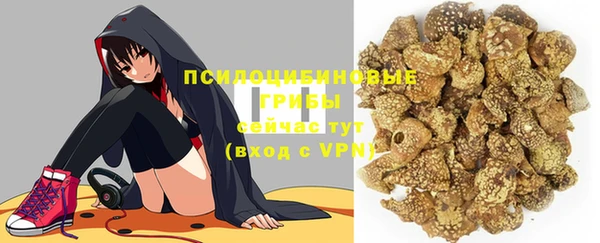 гашик Протвино