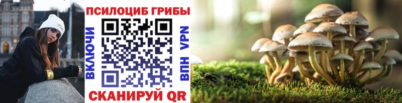 ОМГ ОМГ маркетплейс  Дзержинск  Галлюциногенные грибы Psilocybe 