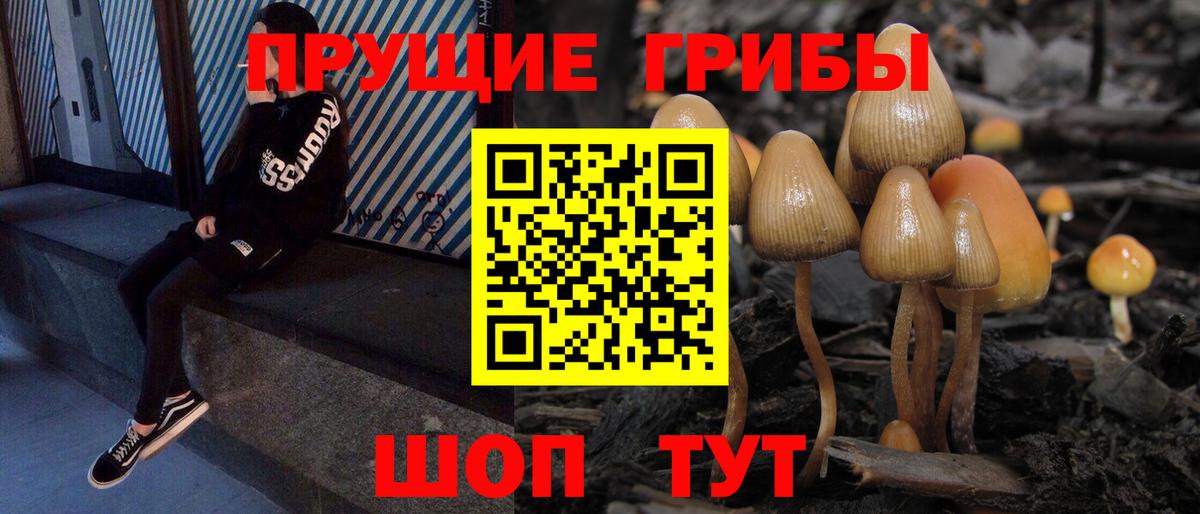 Галлюциногенные грибы прущие грибы Дзержинск
