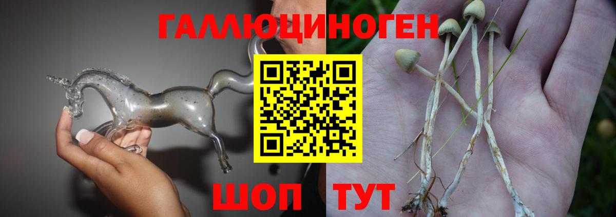 Галлюциногенные грибы Psilocybine cubensis  Вход с VPN  как найти закладки  Галлюциногенные грибы MAGIC MUSHROOMS  Дзержинск 